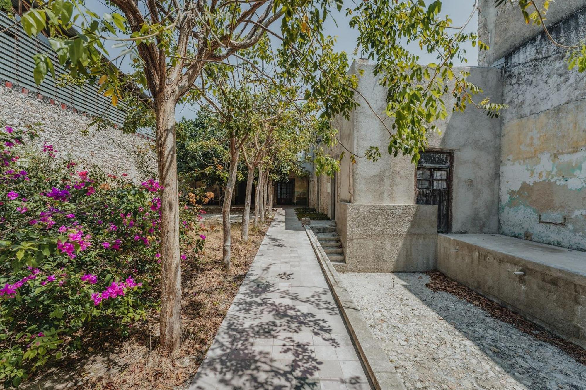 Amplia Habitacion Privada Centro 梅里达 外观 照片